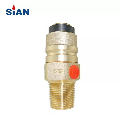 LPG صمام أسطوانة