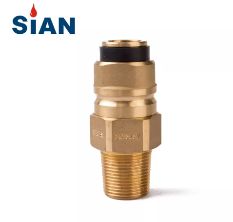 LPG صمام أسطوانة