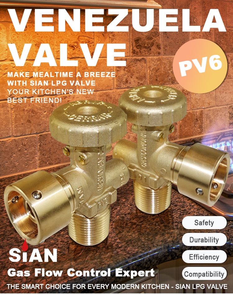 Sian LPG Cylinder Venezuela Valve Pv6 (1)