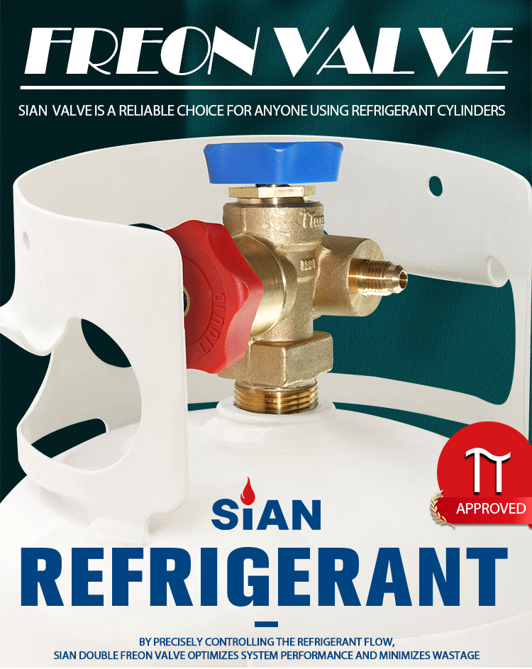 Sian double Freon Retrigerant Recovery Valve (1)