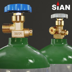 Sian Gas Cylinder RPV RPV في صمامات الضغط المتبقية CO2