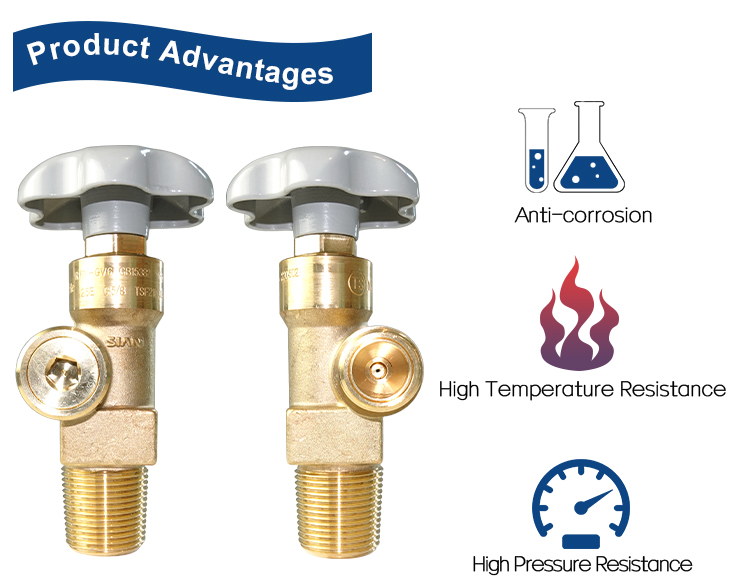 PRV-GV6 N2 AR صمام أسطوانة الغاز (10)
