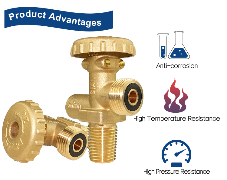 LPG صمام أسطوانة الغاز الفرنسي (17)