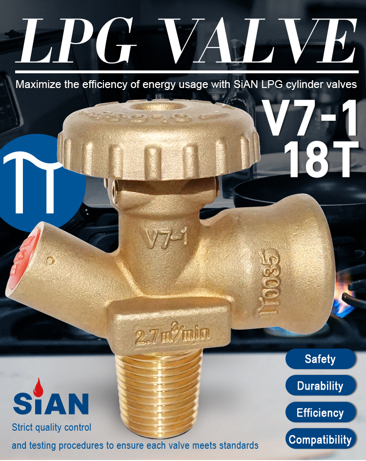 Sian LPG RALEDER VALVE V7-1 18T (1)