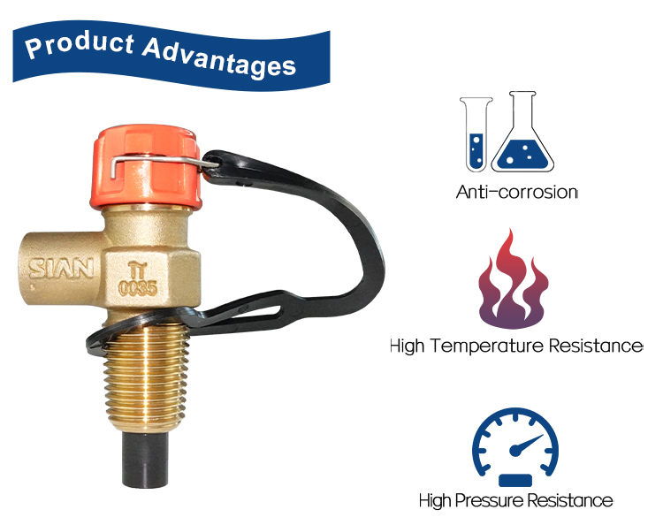 D21 صمام مضغوط (4)