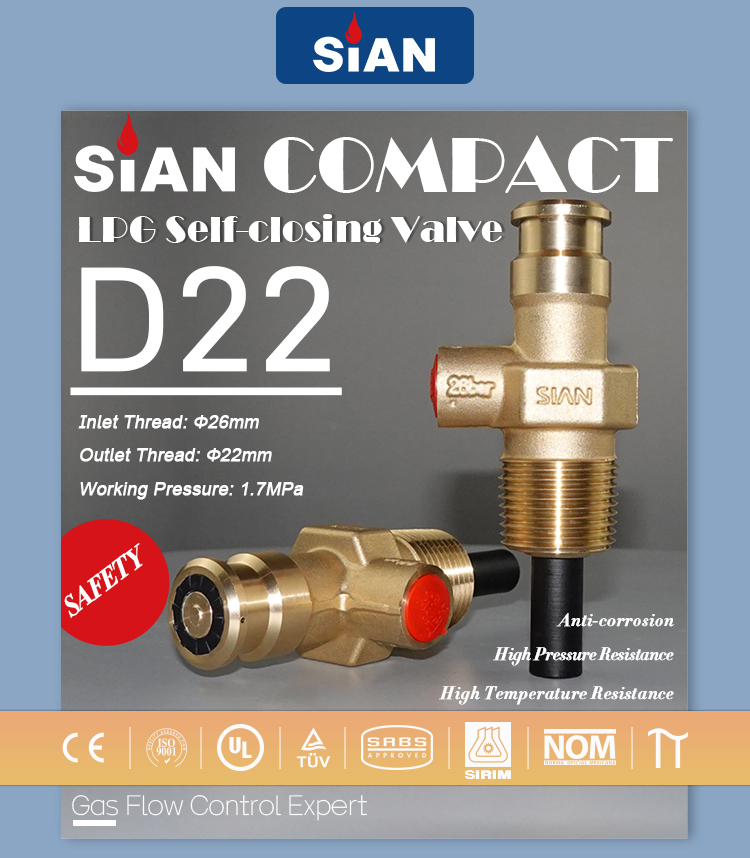 LPG صمامات مضغوطة (2)