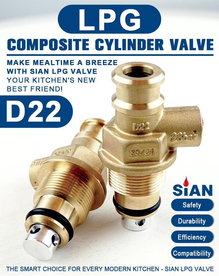 Sian D22 LPG CPMPOSONE SALVES (6)