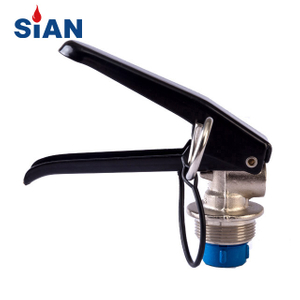 Sian Safety Brass Brass Dry Powder Fire Firedianer Valve