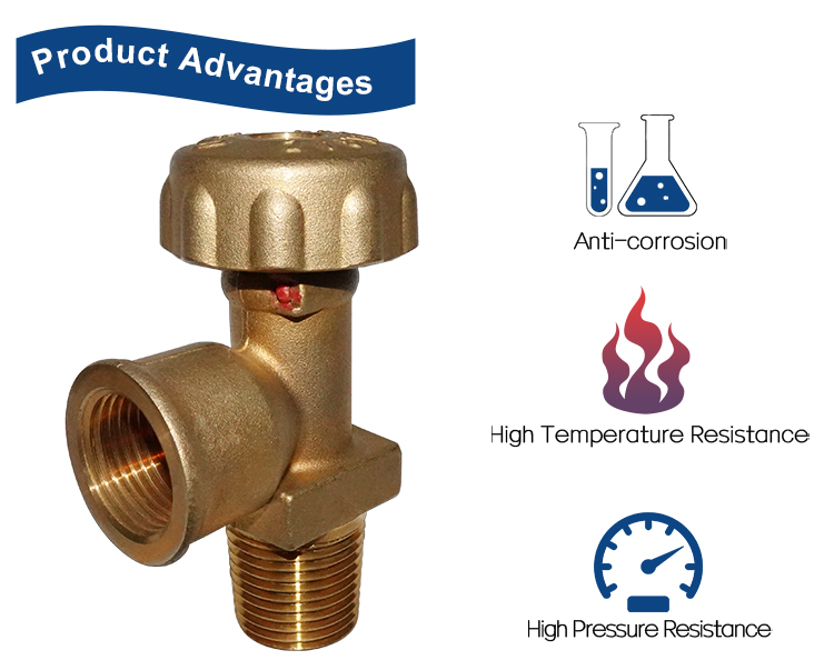 LPG GAS Pol Valves (15)