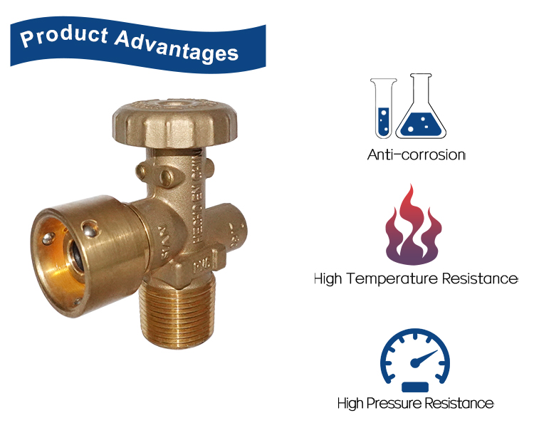 LPG Venezuela Standard Head Valve Pv6 (8)