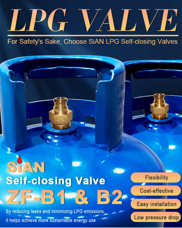 LPG صمام إغلاق الذات (6)