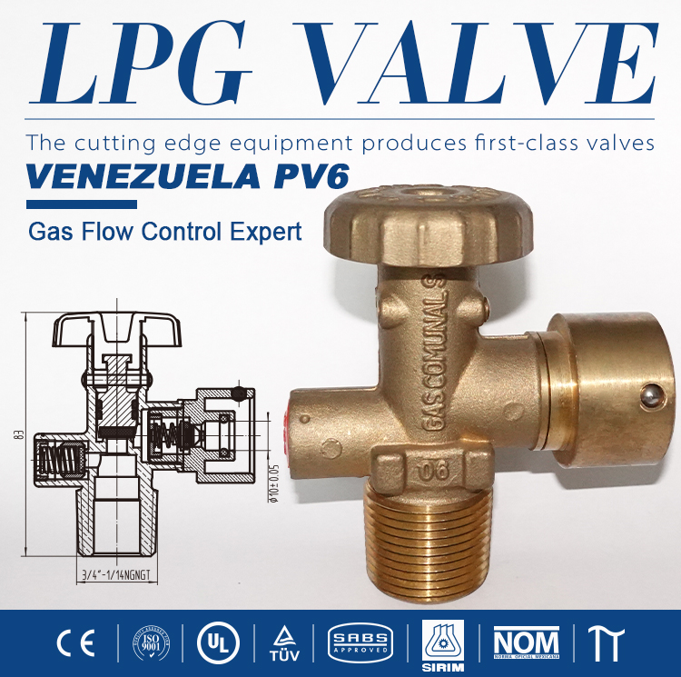 LPG Venezuela Standard Head Valve Pv6 (6)